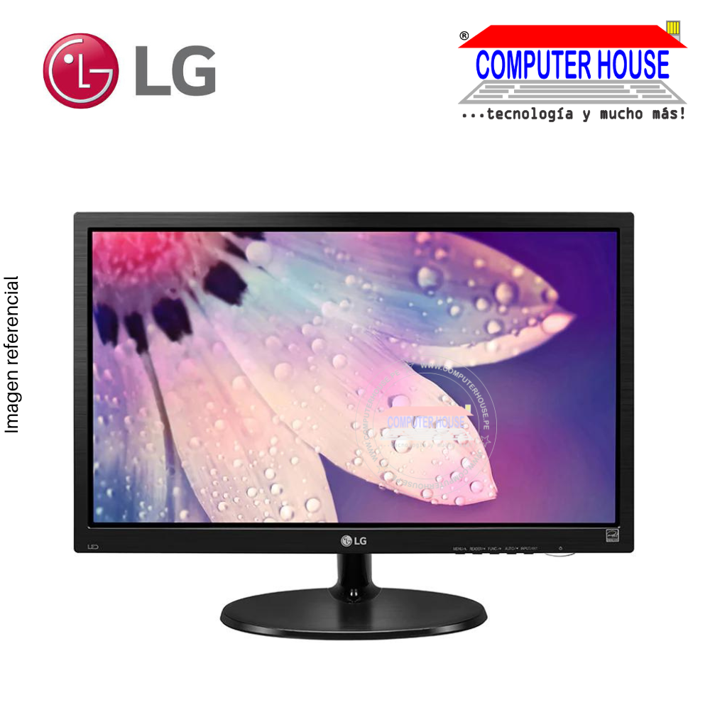 LG Monitor 19