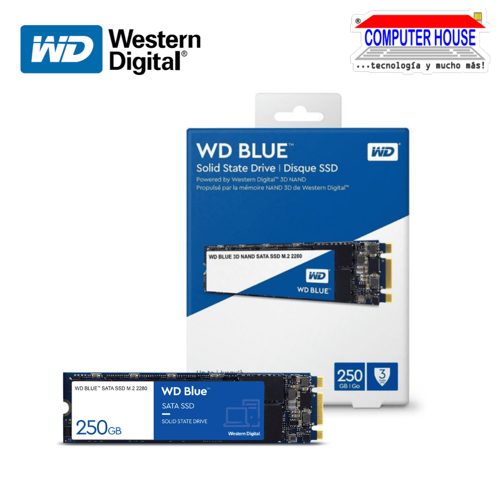 Western Digital 250GB Blue SSD M.2 SATA Solid State Drive (Max Read 550MB/s, Max Write 525MB/s)