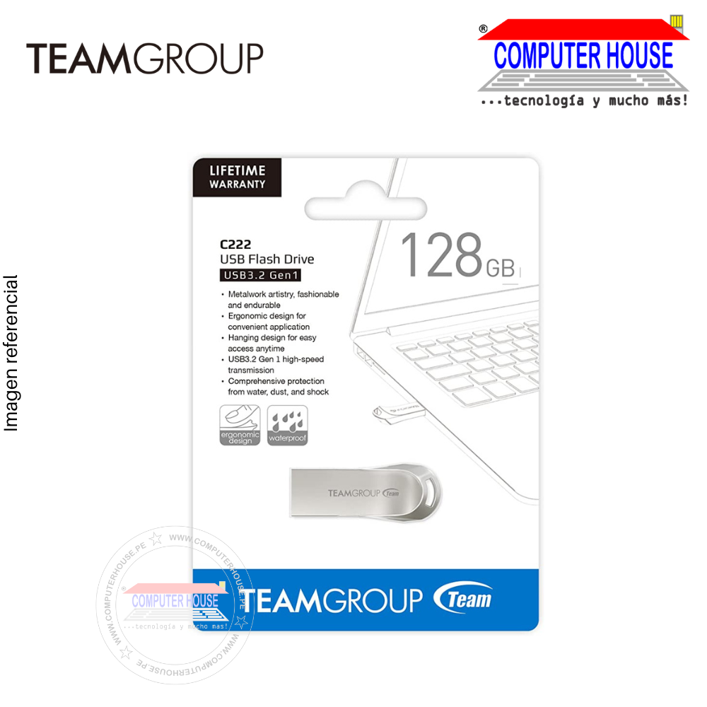 TEAMGROUP USB flash drive 128GB C222 USB 3.2, Silver 