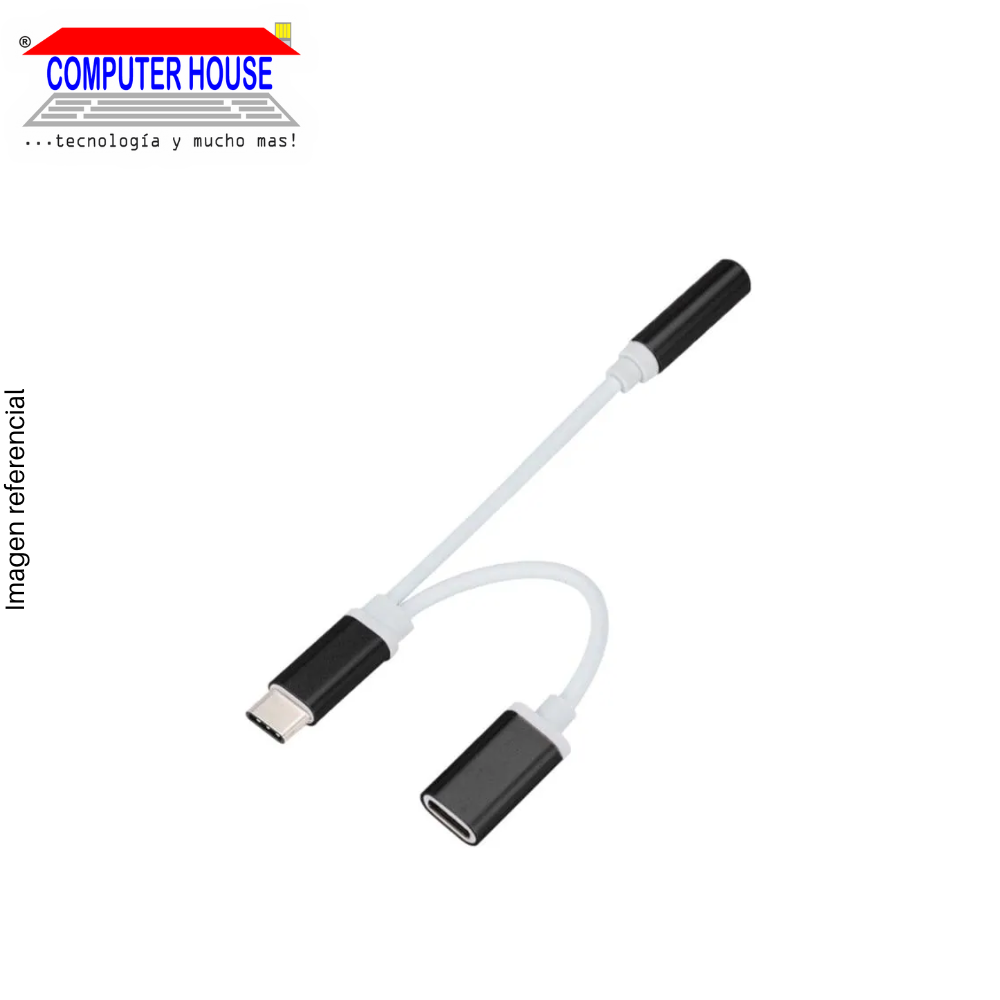 3.5mm Female + Type C Female Plug/Jack Adapter to Type C connection.