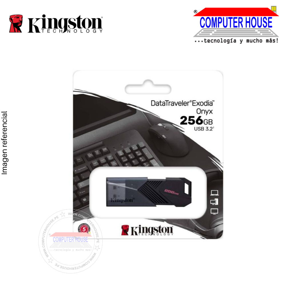 KINGSTON memoria USB 256GB DataTraveler Exodia ONYX USB 3.2 Gen 1, Negro (DTXON/256GB)