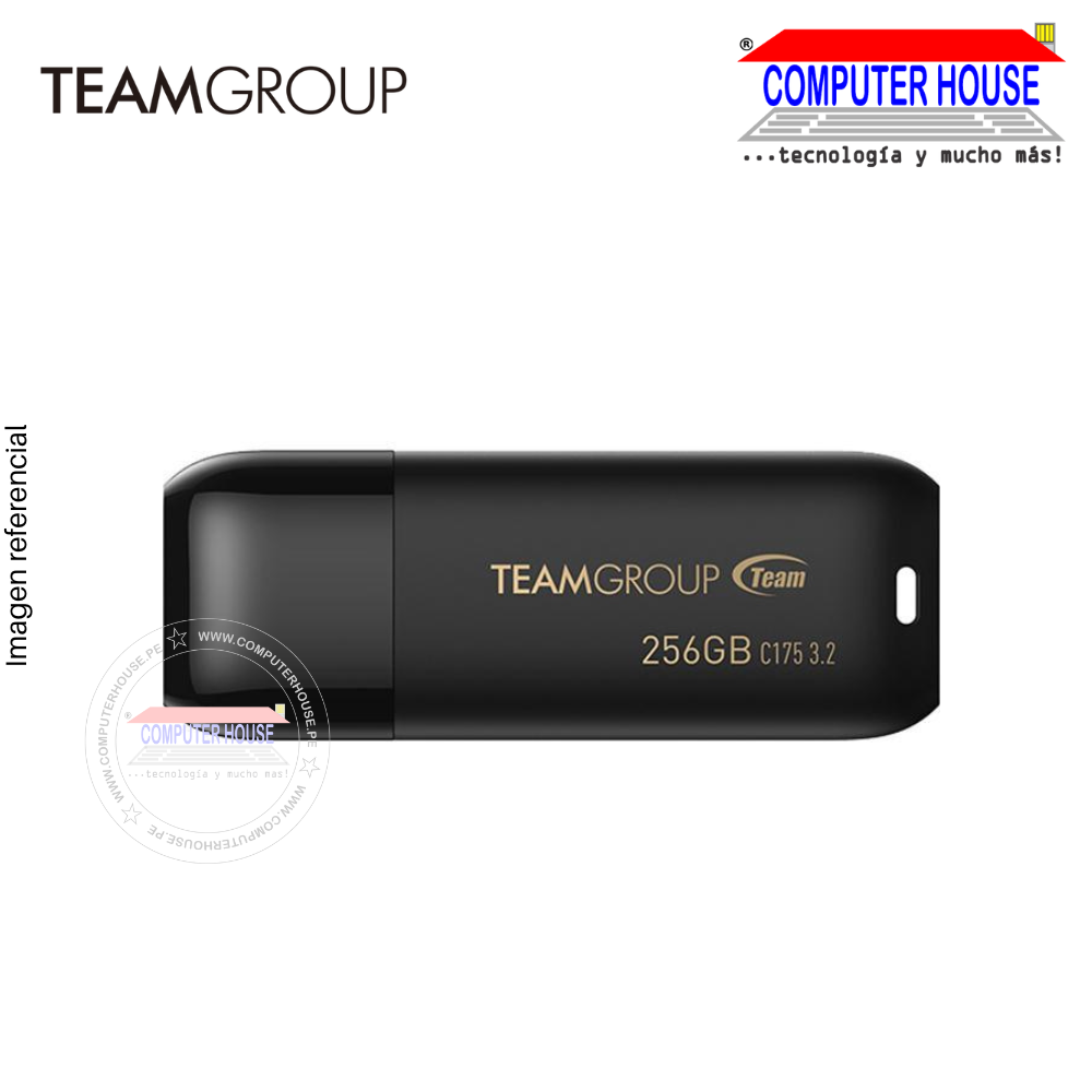 TEAMGROUP memoria USB 256GB C175 USB 3.2, Negro