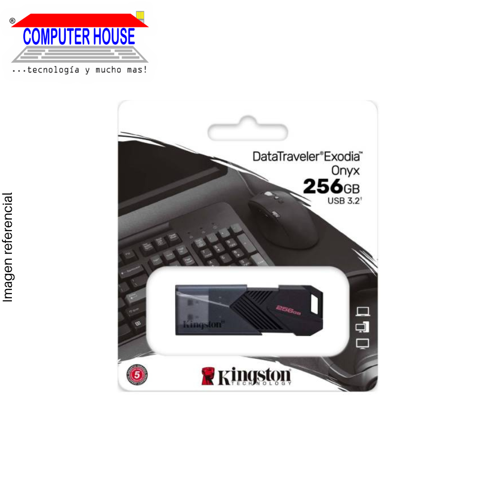 KINGSTON USB Flash Drive 256GB, DTX Exodia Onyx, USB-A 3.2.