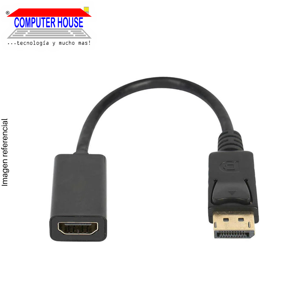 HDMI/H to DisplayPort/M Video Adapter