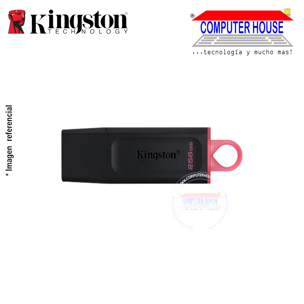 KINGSTON memoria USB 256GB DataTraveler Exodia USB 3.2 Gen 1, rojo (DTX/256GB)
